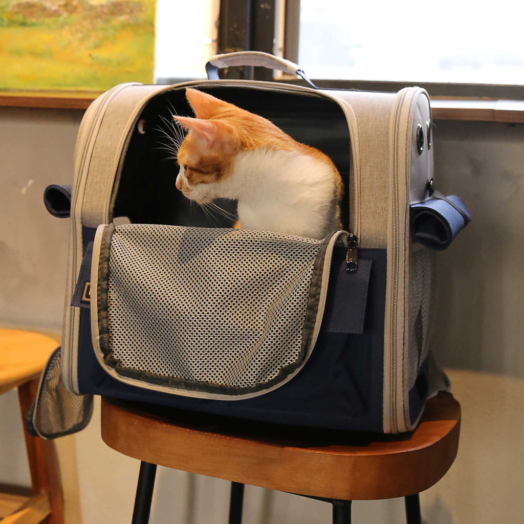 Stylish And Spacious Foldable Soft Pet Carrier For Dogs And Cats