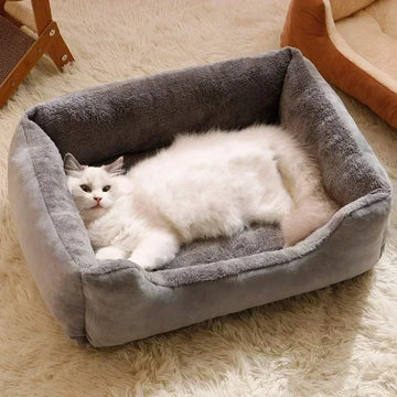 Luxury Plush Sofa Cat Bed 🐾